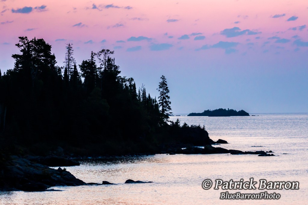 Wolf Pups Born on Isle&nbsp;Royale
