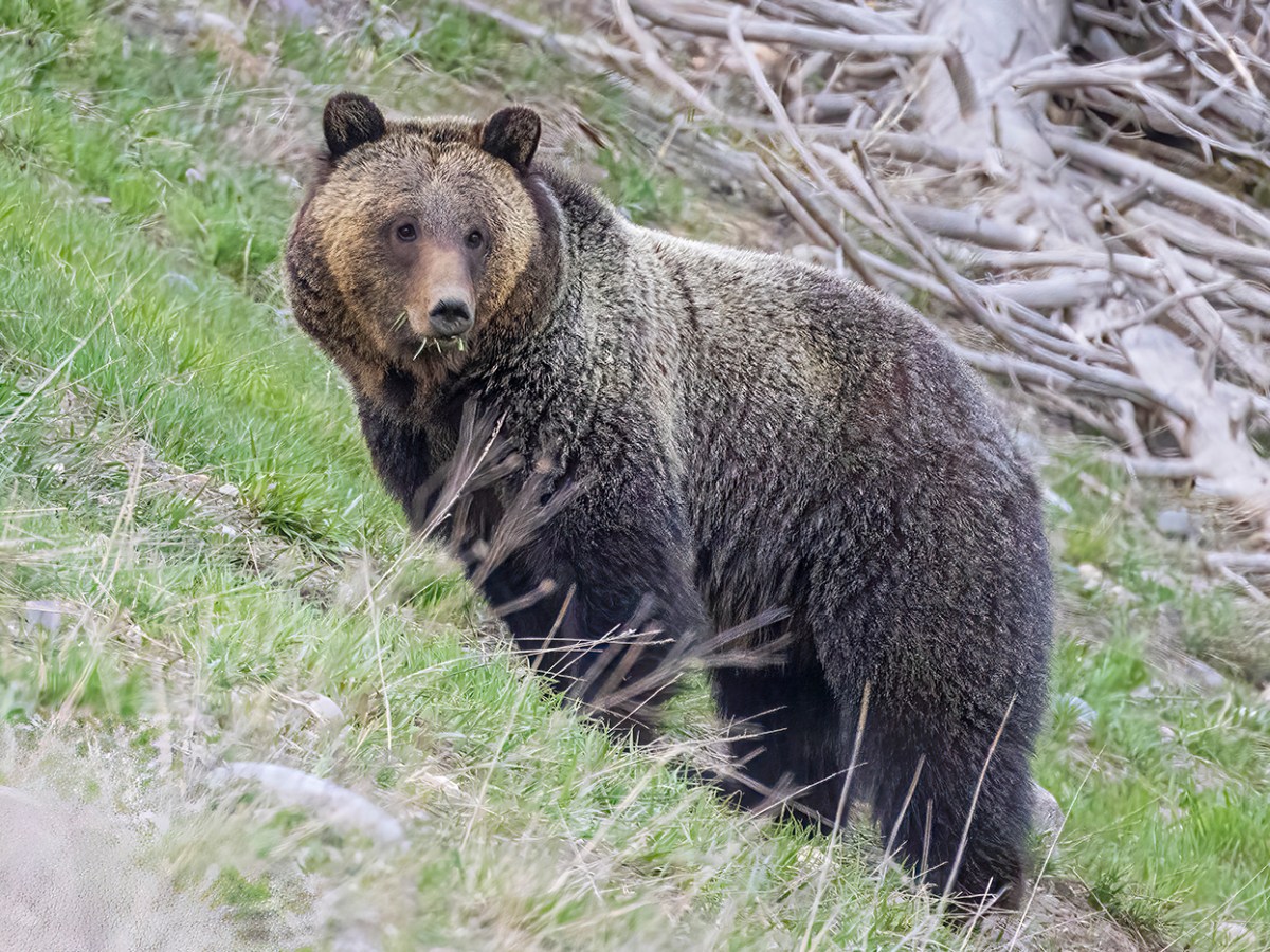 My Photo is On a Frontier&nbsp;Plane!