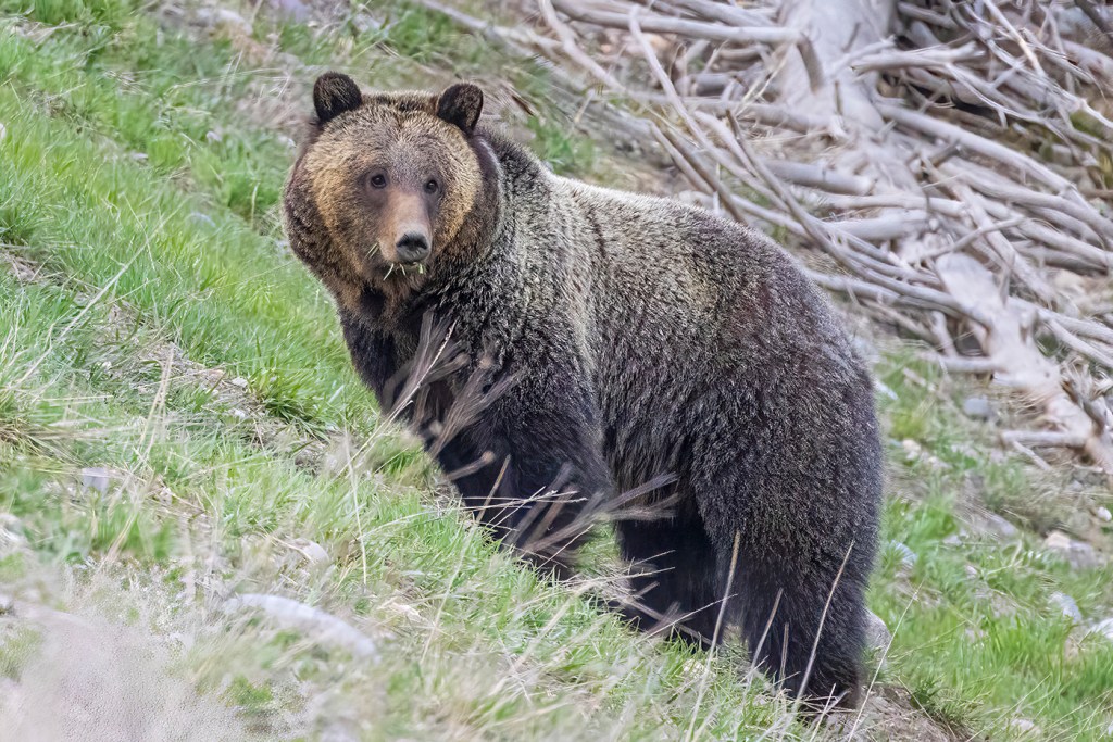My Photo is On a Frontier&nbsp;Plane!